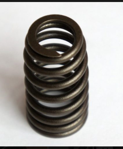 Valve Spring