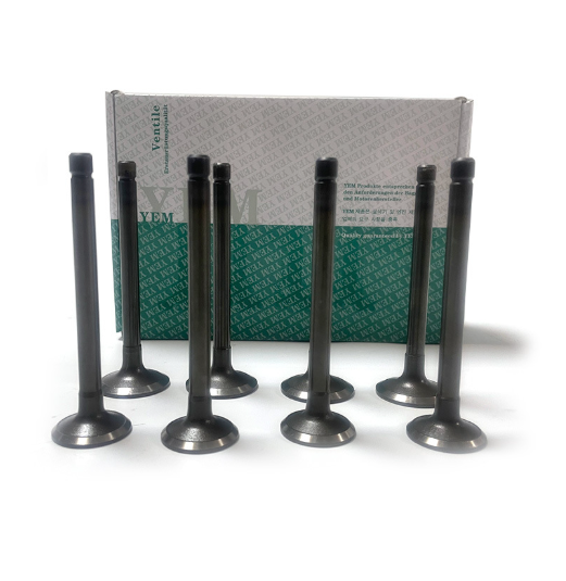 Engine Intake and Exhaust Valves